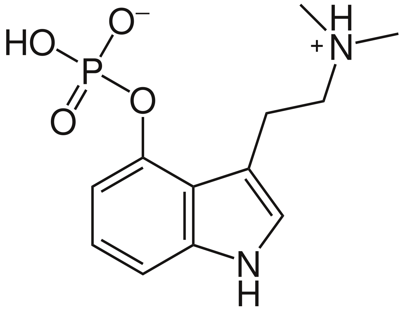 Psilocybin Equilibra logo