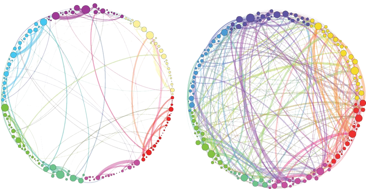 psilocybin brain connections Equilibra logo
